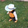 manuel's profile picture