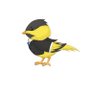 Mr. Leaf Canary 🇨🇦 profil fotoğrafı