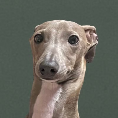 IGGY_PUTTO's profile picture