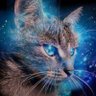 @marabar's profile picture