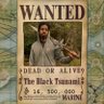 Black Tsunami's profile picture