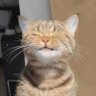 маля's profile picture