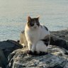 ▽AXMAD 的头像