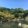 たこす 的头像