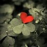 Paz Pequeño's profile picture