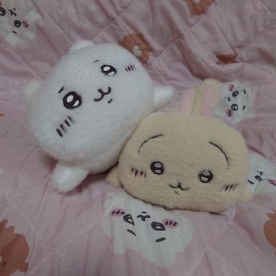 ちいかわ沼　バニラ's profile picture