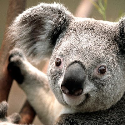 RenfroeWesley's profile picture