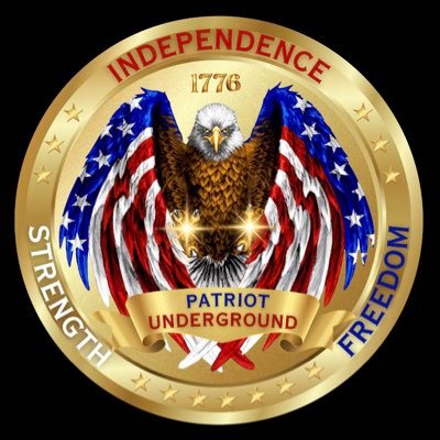 Patriot Underground's profile picture