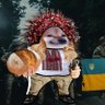 Фото профиля NAFO Fellinka🦝