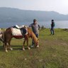 gama profil fotoğrafı