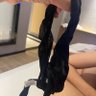 帽子哥 的头像