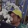 fernando plantonso's profile picture
