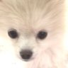 Profilbild von みっか