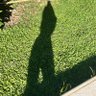sofi profil fotoğrafı