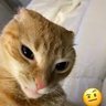 Wewww_31's profile picture