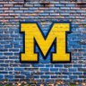 MGoBlueWall's profile picture