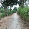 Profilbild von ĐỘC BƯỚC