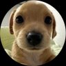 Network's profile picture