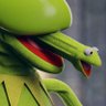 XenoFrog 🥑🔰's profile picture