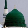 صقر الجنوب 🦅's profile picture