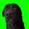 WB's profile picture