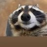 TereIbar's profile picture