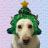 Profilbild von Mookkie