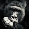 Profilbild von azzatn