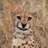 nina profil fotoğrafı