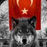 Anıl berk's profile picture
