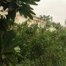 ربي ظلمت نفسي فاغفر لي 的头像