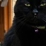 Jupiter's profile picture
