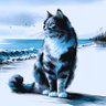 Фото профиля セピア イロ。