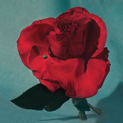 METZtheband's profile picture