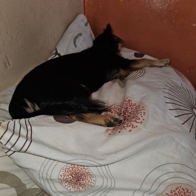 LauraMiti's profile picture