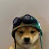 Profilbild von Kieran