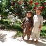 محمدلی 的头像