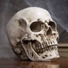 deceased profil fotoğrafı
