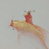 chenyuanwai profil fotoğrafı
