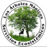Profilbild von Los Árboles Mágicos ®️, (by Oscar Gaitan)