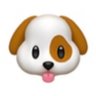 デコピン(decoy)'s profile picture
