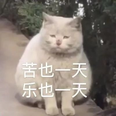 木三S's profile picture
