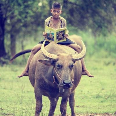 the_yadav1's profile picture