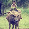 Rebel The Yadav's profile picture