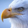 Nash profil fotoğrafı