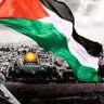 ابو كيان البرام's profile picture