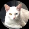 Profilbild von Mp
