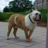 Profilbild von Buckets4Hex