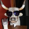 Johny C.'s profile picture