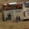 lochsandglens's profile picture